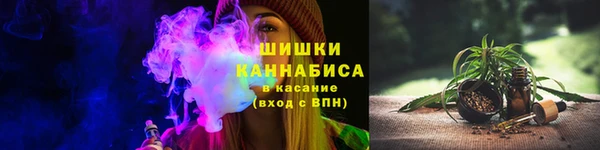 бошки Бородино