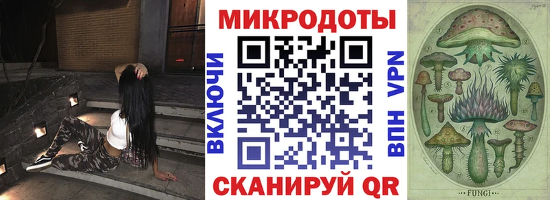 Псилоцибиновые грибы прущие грибы  ОМГ ОМГ tor  Олонец 